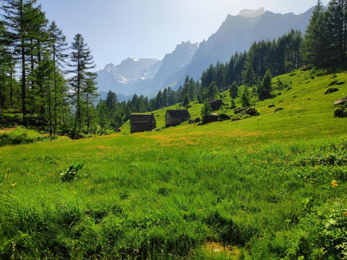 B&B Chalet Il Picchio Варцо Экстерьер фото