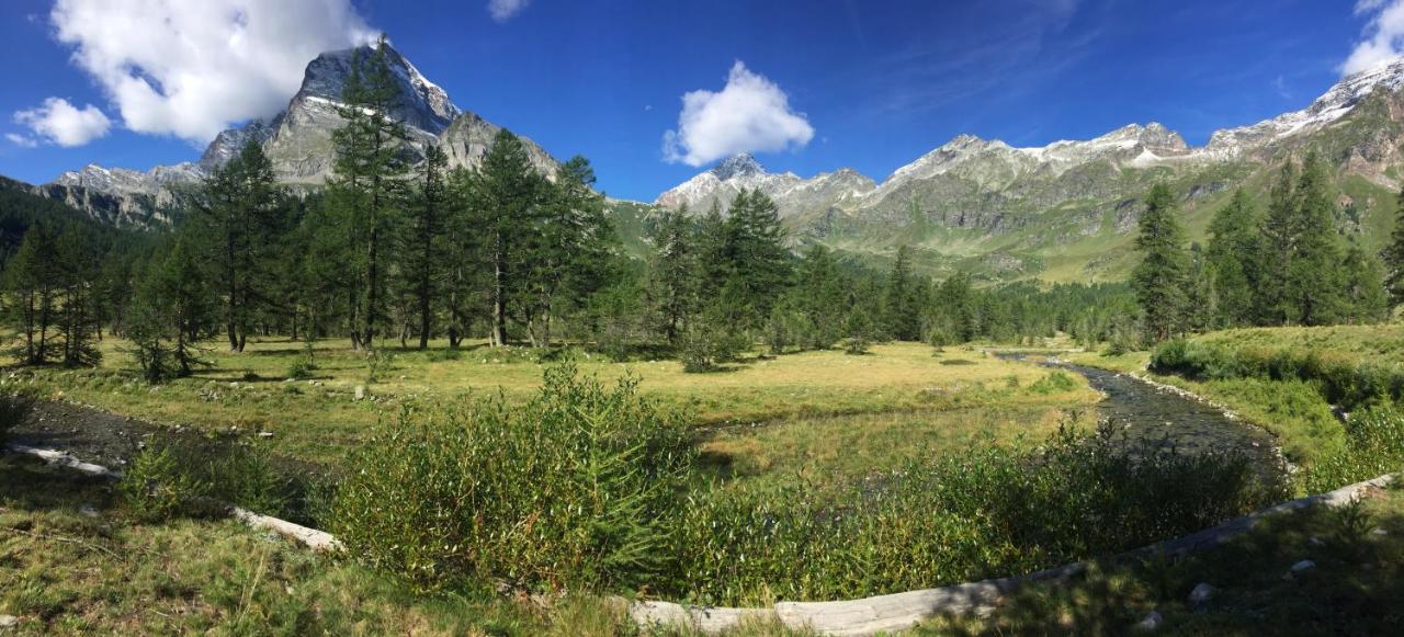 B&B Chalet Il Picchio Варцо Экстерьер фото